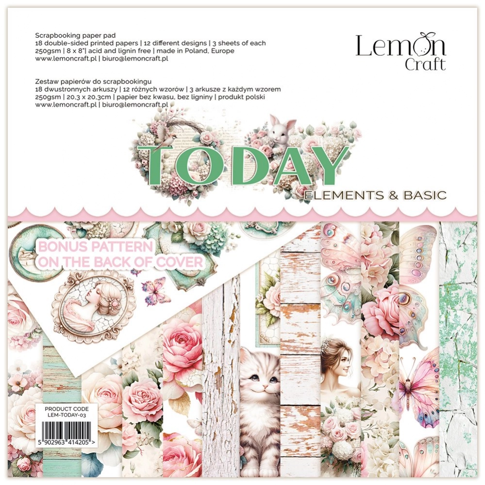 Lemon Craft - lem-today-03