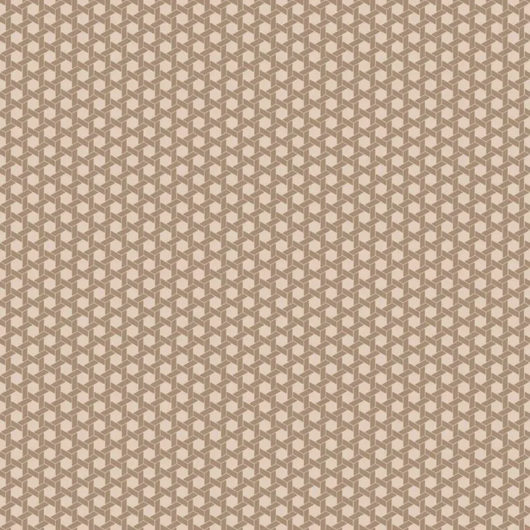 behang-grafisch-vlechtwerk-hexagon-18511