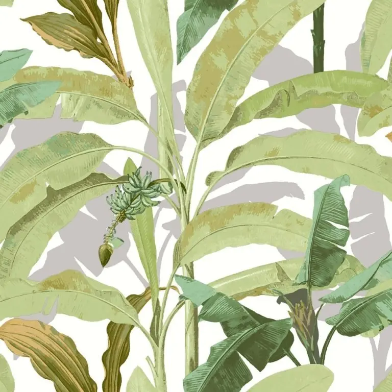 behang-groen-bananenplant-18541