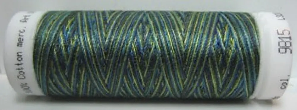 Mettler Silk Finish Multi - m9815