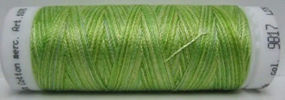 Mettler Silk Finish Multi - m9817