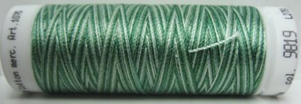 Mettler Silk Finish Multi - m9819