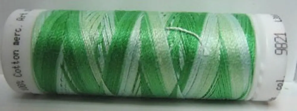 Mettler Silk Finish Multi - m9821