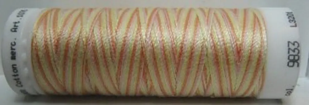 Mettler Silk Finish Multi - m9833